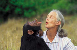 Jane Goodall Institute